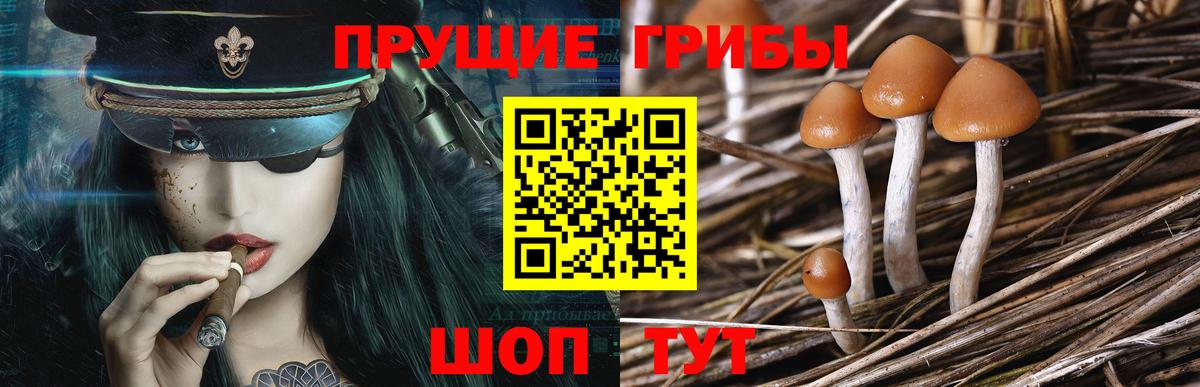 Псилоцибиновые грибы MAGIC MUSHROOMS  Галлюциногенные грибы MAGIC MUSHROOMS  Кумертау  Вход с VPN 